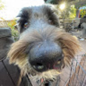 Meet your Posher, Nica